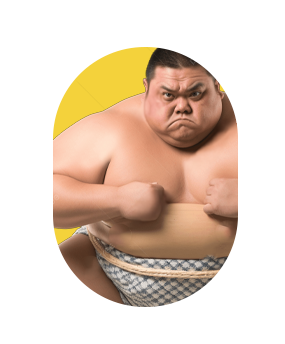 Sumo Experience